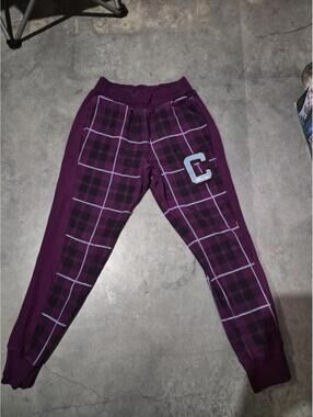 Champion Men Purple Plaid Reverse  Jogger Pants Size Medium Small Paint Stains